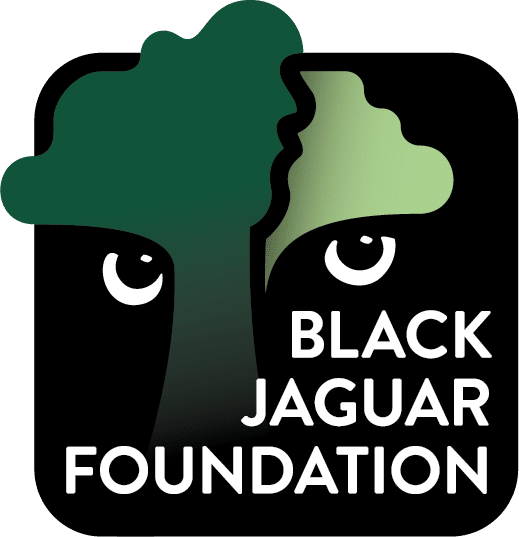 Black Jaguar Foundation