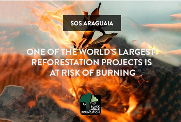 SOS Araguaia Campaign Call for Action