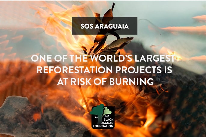 SOS Araguaia Campaign Call for Action