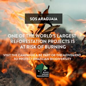 SOS Araguaia Campaign Call for Action