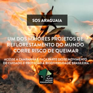 SOS Araguaia 