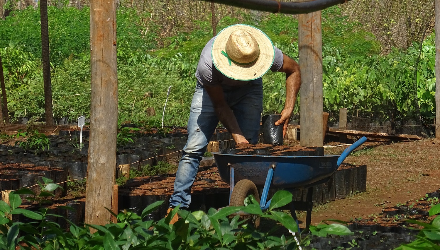 BJF team member working in the nursery