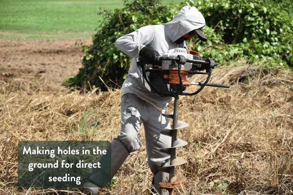 creating holes for direct seeding