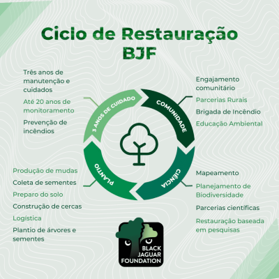 CICLO DE RESTAURAÇÃO (6)