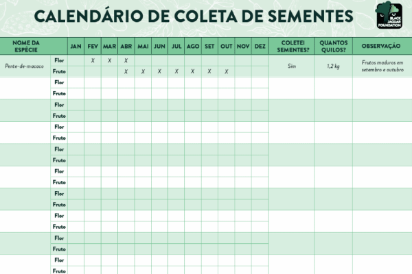 treinamento_modulo2_2