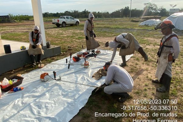 Encarregado de Prod. de mudas
Henrique Ferreira