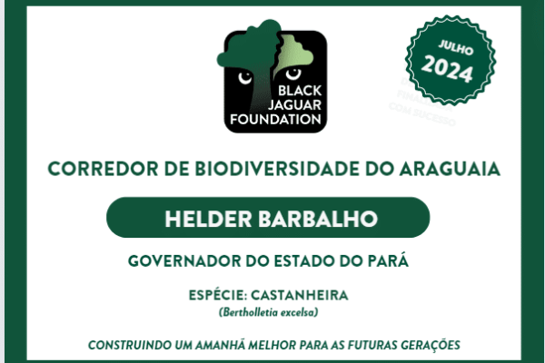 comunicacao3