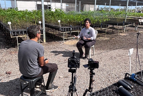 webserie.11