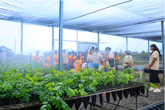 nursery5 nursery5
