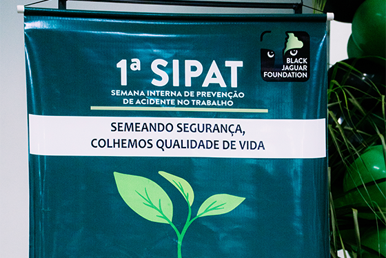 sipat13 sipat13