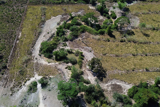 articulacao.1 articulacao.1