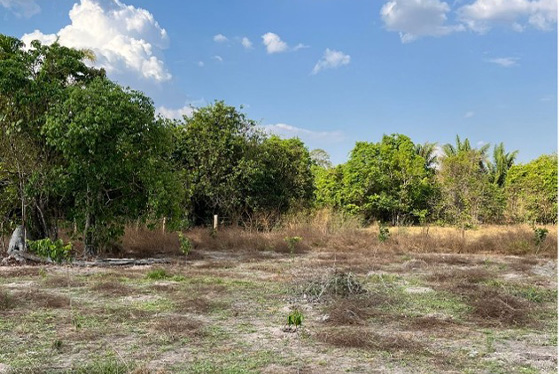 articulacao.1 articulacao.1