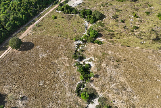 articulacao.1 articulacao.1