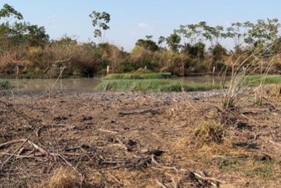 articulacao.1 articulacao.1