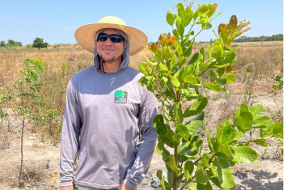 articulacao.1 articulacao.1