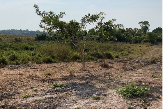 articulacao.1 articulacao.1