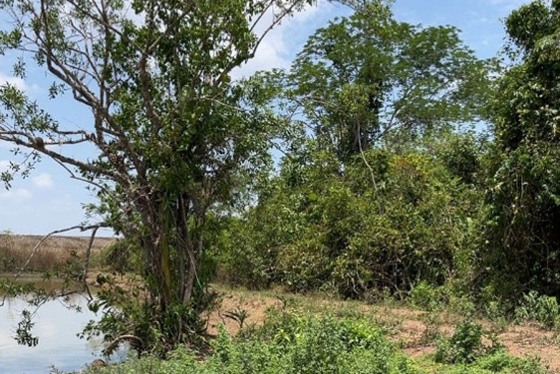 articulacao.1 articulacao.1