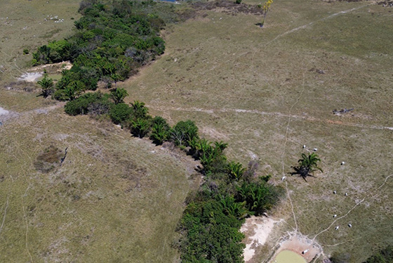 articulacao.2 articulacao.2