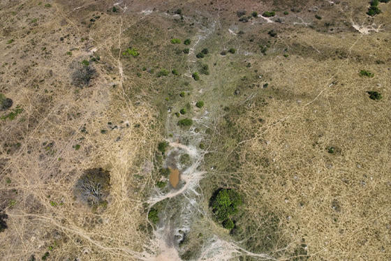 articulacao.2 articulacao.2