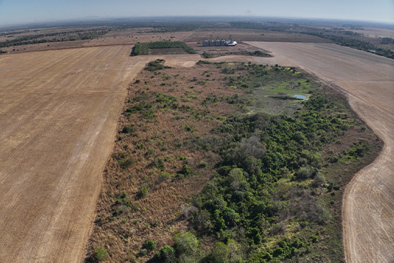 articulacao.2 articulacao.2