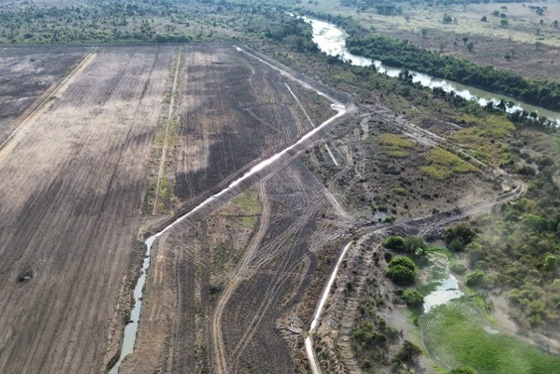 articulacao.2 articulacao.2