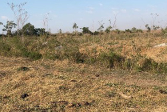 articulacao.2 articulacao.2