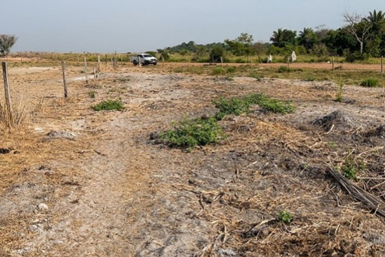 articulacao.2 articulacao.2