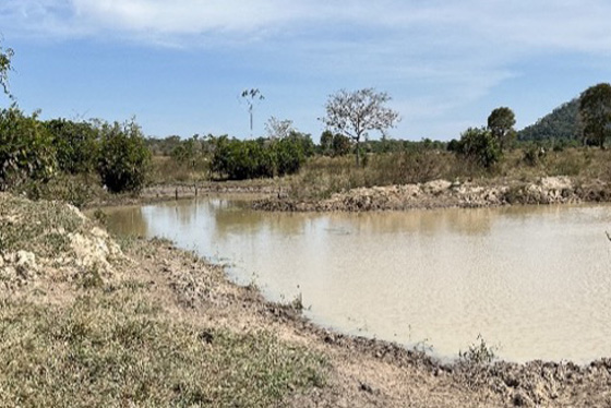 articulacao.3 articulacao.3