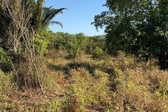 articulacao.3 articulacao.3