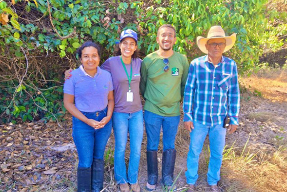 articulacao.4 articulacao.4