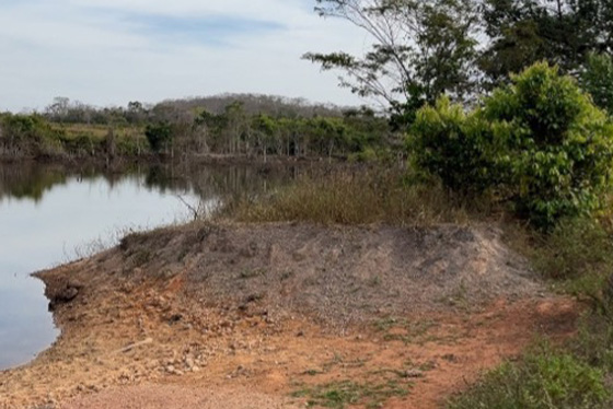 articulacao.4 articulacao.4