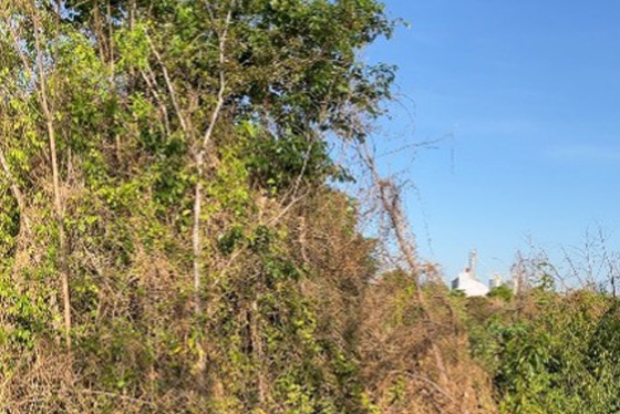 articulacao.4 articulacao.4