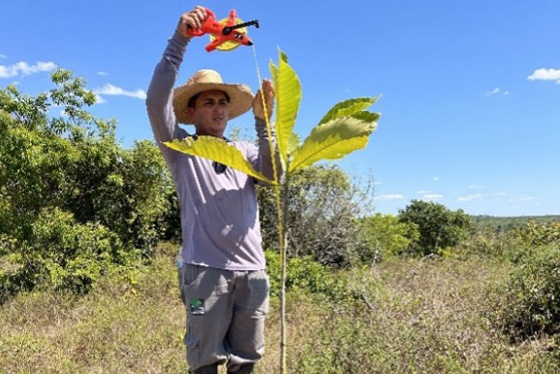 articulacao.4 articulacao.4