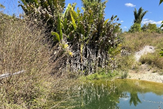 articulacao.5 articulacao.5