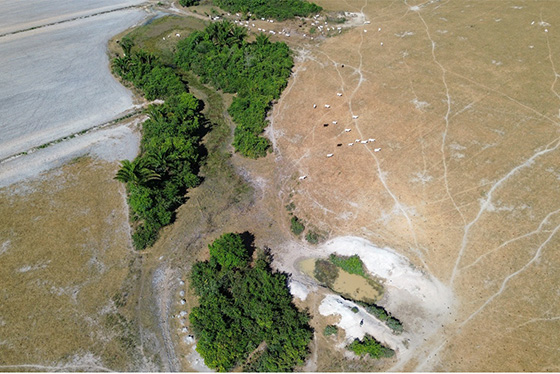 articulacao.6 articulacao.6