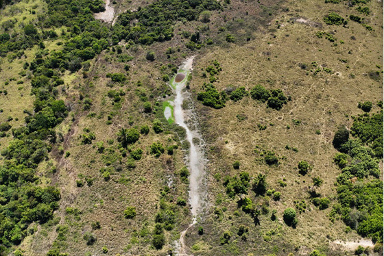 articulacao.6 articulacao.6