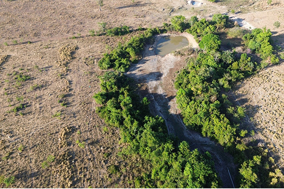 articulacao.7 articulacao.7