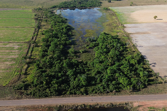 articulacao.8 articulacao.8