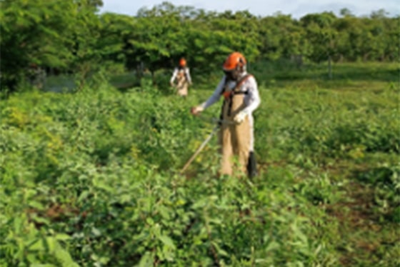 Sem Título-1 Sem Título-1