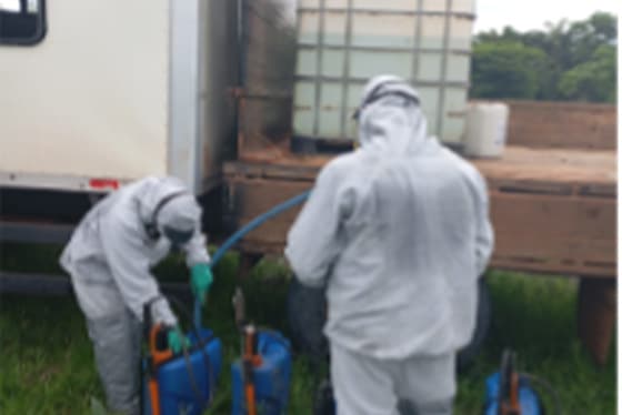 Sem Título-1 Sem Título-1