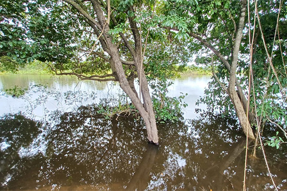 áreas_alagaveis_ressemear_2