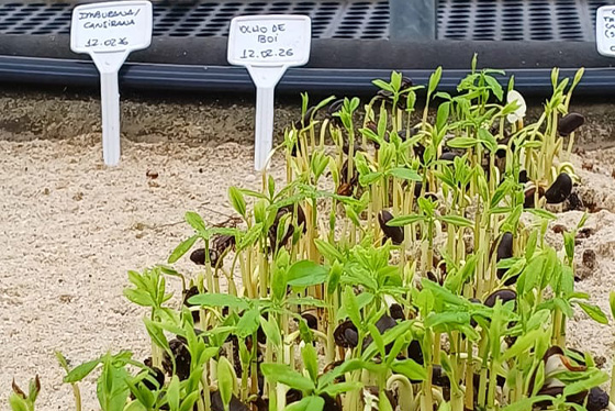 áreas_alagaveis_ressemear_7