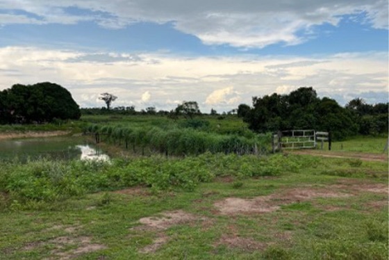 articulacao_1 articulacao_1