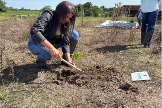 articulacao_1 articulacao_1