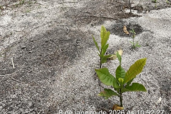 articulacao_2 articulacao_2